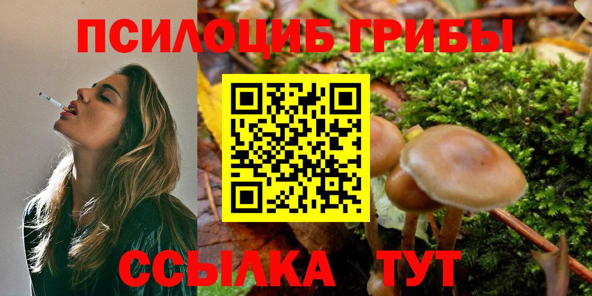 Псилоцибиновые грибы Psilocybine cubensis Канаш