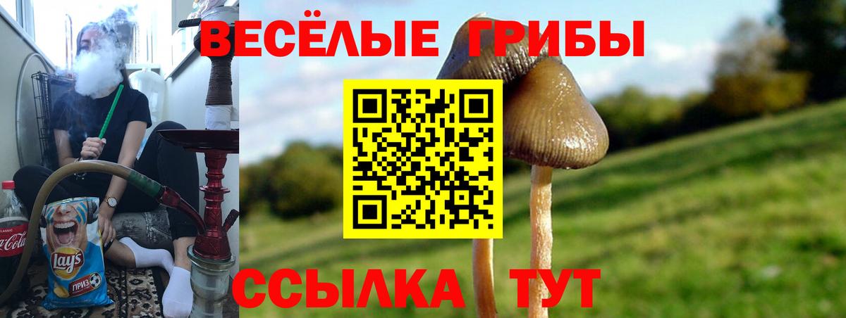 Канаш  Галлюциногенные грибы Cubensis  продажа наркотиков  Вход с VPN  Галлюциногенные грибы Magic Shrooms 